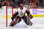 Ottawa Senators Goaltender Mike Mckenna Action Editorial Stock Photo ...