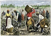 Slave life on Southern plantations - Slavery and the Civil War ...