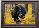 Reflective Art Fall Black Bear Framed Wall Art | Frames on wall, Framed ...