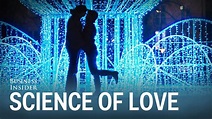 The science of falling in love | Science of love, Science, Falling in love