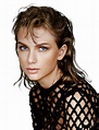Collection of Taylor Swift PNG. | PlusPNG