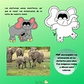 Top 131+ Imagenes de elefantes para niños - Destinomexico.mx