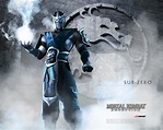 Image - Mortal Kombat Deception Sub-Zero wallpaper.jpg | Mortal Kombat ...