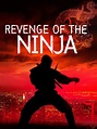 Amazon.de: Die Rückkehr der Ninja ansehen | Prime Video