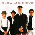 The Blow Monkeys - Discography [FLAC] | Discogc