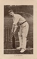 Undated postcard of Albert Knight. | Cricket coaching, Knight, Golden age
