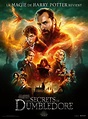 Les Animaux fantastiques : Les Secrets de Dumbledore : bande-annonce (2 ...