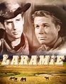 Laramie poster! | Laramie tv series, Tv westerns, Robert fuller