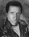 Dorian Harewood's Biography - Wall Of Celebrities