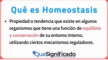 Qué es Homeostasis - Significado - Definición - Tipos