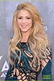 Shakira is Oh-So-Sexy in a Cutout Dress on ACM Awards 2014 Red Carpet ...