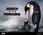 March Of The Penguins 2005. March Of The Penguins Movie Poster. Emperor ...