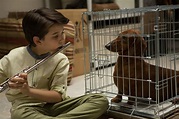 Wiener-Dog Movie Photos and Stills | Fandango