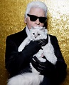 Choupette, la gata millonaria y con ama de llaves de Karl Lagerfeld ...