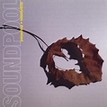 Soundpool - Dichotomies & Dreamland - Reviews - Album of The Year