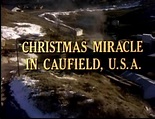 Christmas Miracle in Caufield, U.S.A. (1977) Melissa Gilbert,Mitch Ryan ...