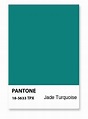 Pantone Jade :) | Cores, Paleta de cores verde, Paleta de cores