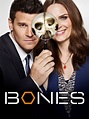 Bones TV Listings, TV Schedule and Episode Guide | TV Guide