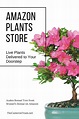 Amazon Plants Store Launches: Delivers Live Plants to Your Doorstep ...