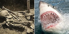 Scientists find oldest human shark attack remains, over 3,000 years old!