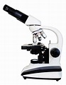 Microscopio Quasar Qm20 Binocular 2500x Profesional - $ 7,599.00 en ...