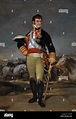 Ferdinando VII di Spagna (1815) da Francisco de Goya (1746-1828). Olio ...