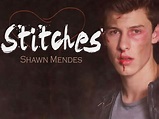 Stitches - Shawn Mendes Lyrics and Notes for Lyre, Violin, Recorder ...