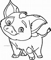 Pua Pig Disney Coloring Page | Moana coloring pages, Moana coloring ...