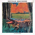 The Neville Brothers - Fiyo On The Bayou (1986, Vinyl) | Discogs
