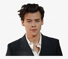 Harry Styles, HD Png Download - kindpng