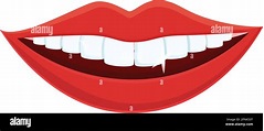 Icono de sonrisa de dientes blancos. Dibujo animado de dientes blancos ...