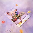 Katy CATalog Collector’s Edition Boxset- D2C Exclusive - Katy Perry