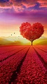 Nature Love Wallpapers - Top Free Nature Love Backgrounds - WallpaperAccess