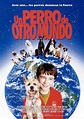 Cartel de Un perro de otro mundo - Poster 1 - SensaCine.com