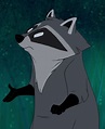 Meeko is a supporting character in Disney's 1995 animated feature film ...