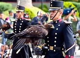 Cadetes Heroico Colegio Militar México | Heroico colegio militar ...