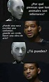 Yo robot - Meme by Sebastián dorantes :) Memedroid