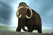 De-Extinction or Recreating Extinct Animals: Facts and Concerns - Owlcation