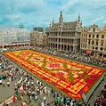 The Flower Carpet in Brussels (2014) - Belgium | Virtual tourist ...