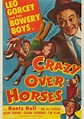 Crazy Over Horses streaming: where to watch online?