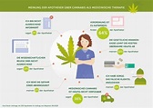 Infografik-Cannabis_03 - Hanf Magazin