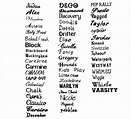 18 Font Examples And Names Images - Different Font Styles Names ...