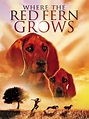 Prime Video: Where The Red Fern Grows
