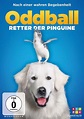 Oddball - Retter der Pinguine (DVD) – jpc