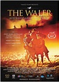 The Waler: Australia’s Great War Horse by Marian Bartsch, shortlisted ...