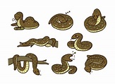 vector de dibujos animados de anaconda 173155 Vector en Vecteezy