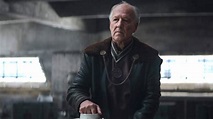 Sternschnuppen: Werner Herzogs neuer Film hat das für ihn perfekte ...
