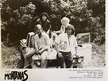 The Montanas | Discography | Discogs