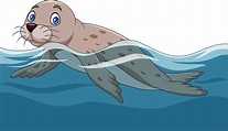 Cartoon sea lion swimming in the ocean 8916591 Vector Art at Vecteezy
