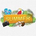 Verano PNG, Vectores, PSD, e Clipart Para Descarga Gratuita - Pngtree